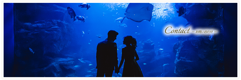 Contact　－お申込み・お問い合わせ－