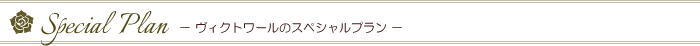 スペシャルプラン